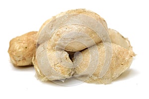 Life Cycle of Silk Worm