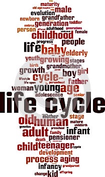 Life cycle word cloud