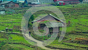 A diario vida de agricultor sobre el gradas 