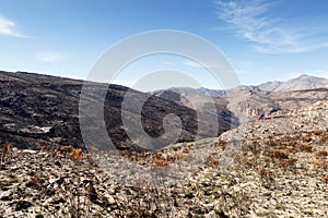 Life after Fire - Swartberg Nature Reserve