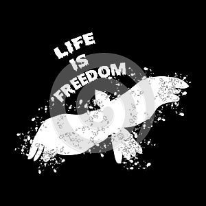 Life is freedom photo