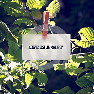 Life is a Gift