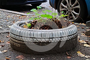 A vita dà voi pneumatici fare giardino 