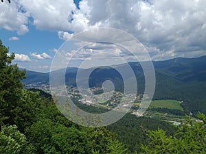 Life is green and green is life