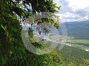 Life is green and green is life