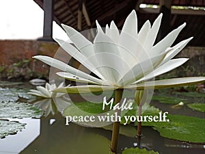 Life inspirational quote - Make peace with yourself. With white lotus flower blooming on pond. Inner peace and harmony concept.