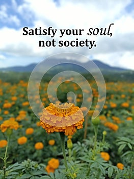 Life inspirational quote - Satisfy your soul, not society. With orange marigold flowers garden and mountain view background. Self