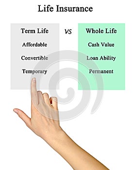 Life Insurance: term life vs whole life