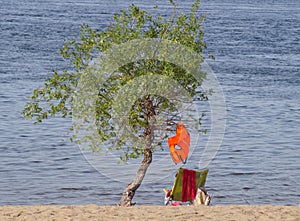 A life jacket hangs from a tree on the riverbank on a Sunny summer day next to a chair for vacationers.
