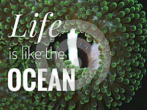 Life Is Like The Ocean design for better sustainable life style.