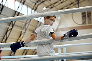 Life portrait of little boy, beginner boxer in sport uniform during workout at sports gym. Concept of sport, movement