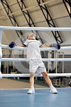 Life portrait of little boy, beginner boxer in sport uniform during workout at sports gym. Concept of sport, studying