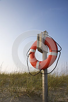 Life preserver