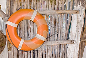 Life Preserver photo