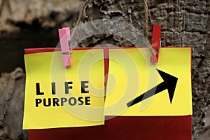 Life purpose with direction sign message on yellow paper notes hanging on wooden wall. Find your life purpose concept.