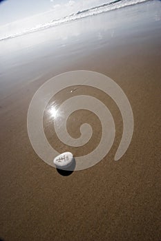 Naturaleza muerta Playa 