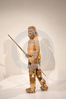 Life-scale reproduction of Iceman Ãâtzi at the archaeological museum of Bolzano, Italy