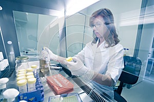 Life scientist researching in the laboratory. photo