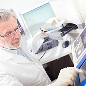 Life scientist researching in the laboratory. photo