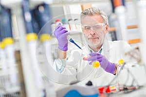 Life scientist researching in the laboratory. photo