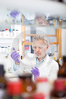 Life scientist researching in the laboratory. photo