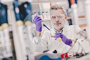 Life scientist researching in the laboratory. photo