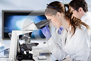 Life scientist researching in the laboratory. photo