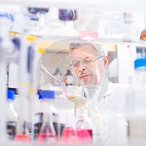 Life scientist researching in the laboratory. photo