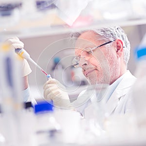 Life scientist researching in the laboratory. photo