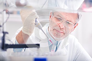 Life scientist researching in the laboratory. photo