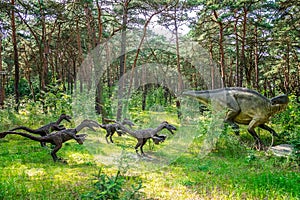 Raptors on a hunt