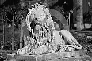 Life-sized stone statue of lion, monochrome image