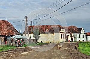 Life in Viscri village, romania