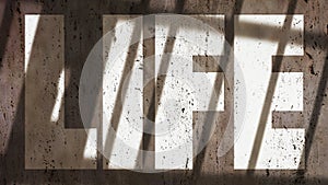 Life On A Wall With Jail Bars Shadow