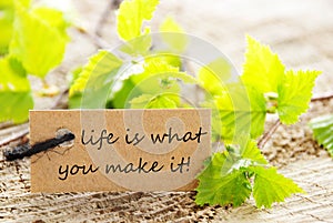 Life Is What You Make It Label