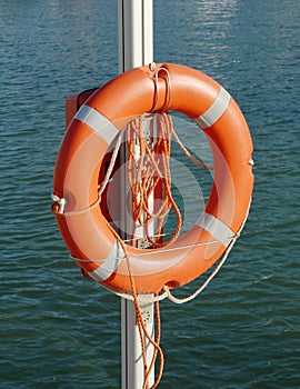 Lifebuoy