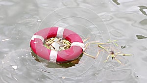 Lifebuoy, as old garbage floating in the river. What was once useful, if not eliminated properly, it will cause pollution.