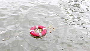 Lifebuoy, as old garbage floating in the river. What was once useful, if not eliminated properly, it will cause pollution.