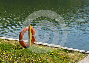 Lifebuoy on the background of a concrete path near the pond with green grass and yellow flowers