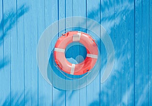 Lifebuoy on Blue Wooden Wall with Palm Shadows