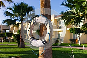 Lifebuoy hanging near the pool on a tree