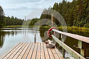 Lifebuoy on a pier of a forest lake on a cloudy day in summer