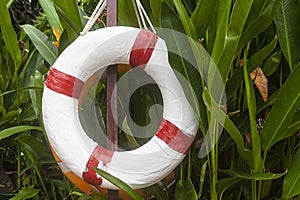 Lifebuoys for tourists are prepared in front of the resort