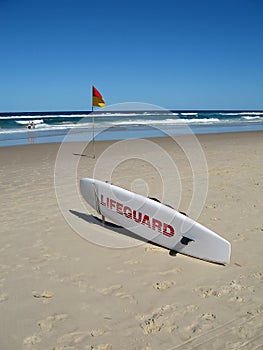 Lifeguard