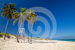 Lifeguard chair under palm trees on a paradise beach