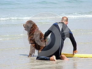 Lifeguard Dog