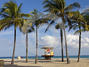 Lifeguard house between palm trees