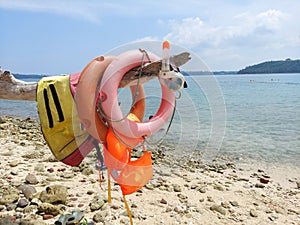 Lifeguard jacket,rescue equipment,snorkeling equipment's are hanging from tree branch