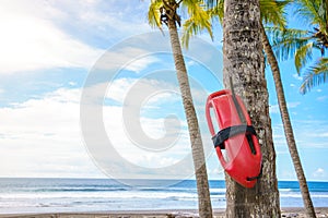 A lifeguard& x27;s float hanging from a palm tree on a tropical beach