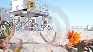 Lifeguard stand and flower, life guard tower for surfing on California beach.